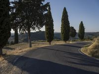 Tuscany Italy Dawn Rugged Landscape 004