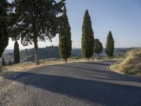 Tuscany Italy Dawn Rugged Landscape