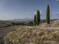 the road is winding through the countryside in the distance, near a hill with cypress trees