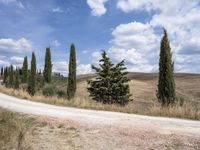 Tuscany Italy Landscape