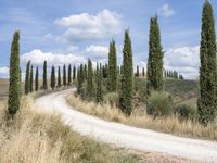 Tuscany Italy Landscape 002