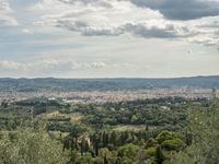 green bushes and trees on top of a hillside with a view over town below them