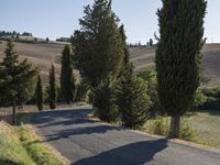 the man is standing on the motorcycle outside by the tree lined road with the bike