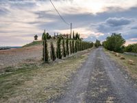 Tuscany Italy Narrow Dirt Road Day 001