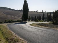 a paved road passes a row of trees on the other side of a hill range