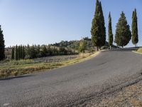 a paved highway with some trees and a blue sky in the background on a sunny day