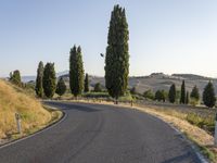 a curve road winds through hilly countryside area with tall trees and grass in the foreground