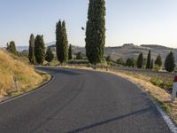 a curve road winds through hilly countryside area with tall trees and grass in the foreground