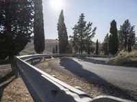 road next to the hill with many trees in the sunlight behind it and a stone barrier near side