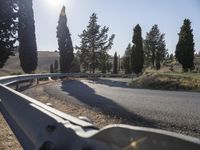 road next to the hill with many trees in the sunlight behind it and a stone barrier near side