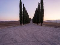 long and narrow road with trees in the distance on a hill side at sunset and mountains