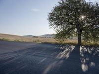 the shadow of a tree on the asphalt of a road in the hills and farmland