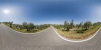 a view from a street with an empty road going by a few olive trees and a hill