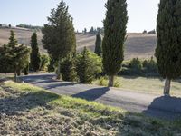 Tuscany, Italy: A Road Through a Picturesque Landscape