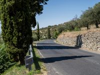 a road lined with trees and bushes is seen in the distance are trees, on either side of the road and steep hills