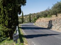 a road lined with trees and bushes is seen in the distance are trees, on either side of the road and steep hills