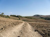 dirt road leads to a lone farm with a mountain in the background near an olive grove