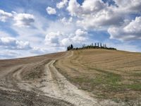 two roads on the top of a hill with cypress trees in the distance and an overcast blue sky above