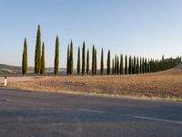 a man walking down the road with an umbrella above his head in the distance is a row of poplar trees