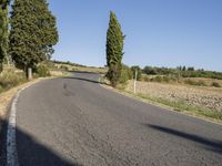 Tuscany, Italy: Rural Highway with Cypress Trees