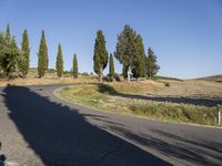 Tuscany Italy Rural Highway with Cypress Trees