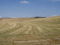 an open field of wheat in a rural area with rolling hills behind it and a blue sky