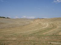 an open field of wheat in a rural area with rolling hills behind it and a blue sky