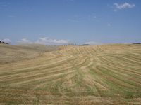 an open field of wheat in a rural area with rolling hills behind it and a blue sky