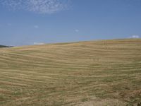 an open field of wheat in a rural area with rolling hills behind it and a blue sky