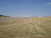 an open field of wheat in a rural area with rolling hills behind it and a blue sky