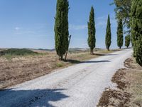 Tuscany Italy Rural Landscape with Gravel Road