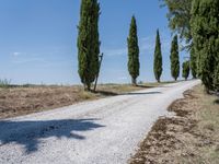 Tuscany Italy Rural Landscape Gravel Road 002