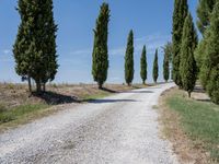 Tuscany Italy Rural Landscape Gravel Road 003