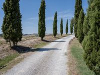 Tuscany Italy Rural Landscape with Gravel Road