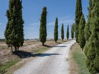 Tuscany Italy Rural Landscape with Gravel Road