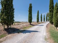 Tuscany Italy Rural Landscape with Gravel Road