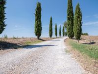 Tuscany Italy Rural Landscape with Gravel Road