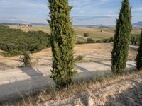 the rolling hills with trees on both sides of the road are shown in an image with a clear blue sky