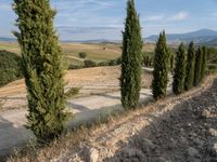 the rolling hills with trees on both sides of the road are shown in an image with a clear blue sky