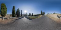 a view of a wide open road and trees from inside a spherical photo camera lens