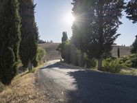 Scenic Road Countryside in Tuscany, Italy (004)