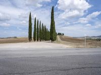 Tuscany Italy Scenic Road with Cypress Trees