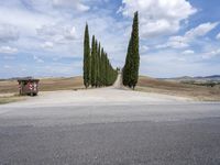 Scenic Road with Cypress Trees in Tuscany, Italy