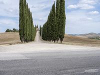 Scenic Road with Cypress Trees in Tuscany, Italy