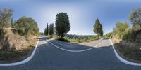 three 360 panoramic views of trees and a road, taken from a perspective point to point