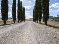 Tuscany Italy Scenic Road and Green Fields