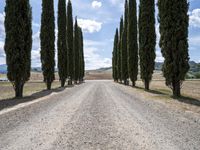 Tuscany, Italy: Scenic Road Through Green Fields