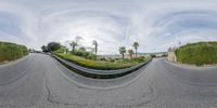 two road side views with an approaching car in the distance and palm trees on both sides