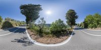 there is a 360 - lens view of a road and trees on either side of the road