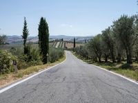 an empty road running through trees and a field with trees in the foreground and hills in the background